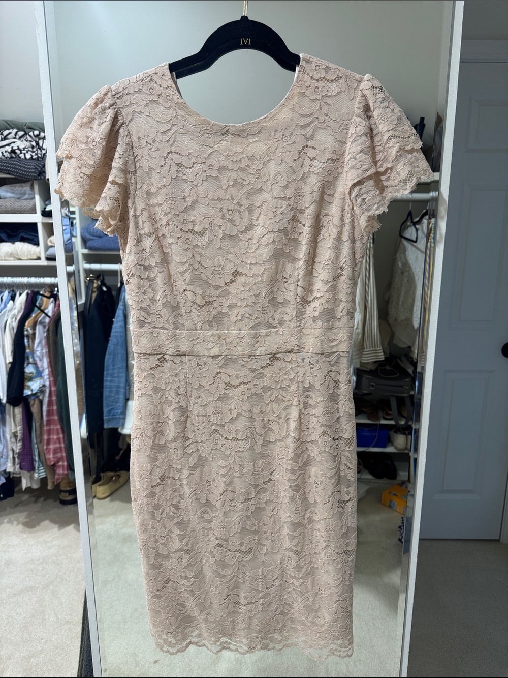 Rachel Parcell Blush Lace Sheath Dress